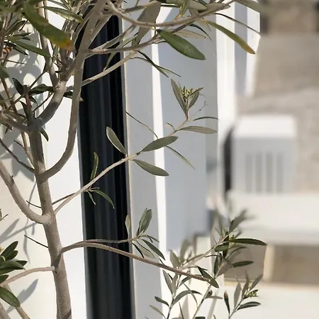 Tatil Evi Aesis Krokos