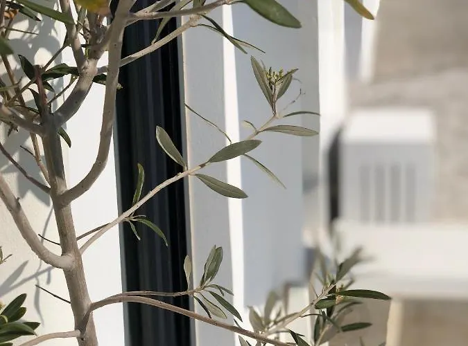 Semesterbostad Aesis Krokos